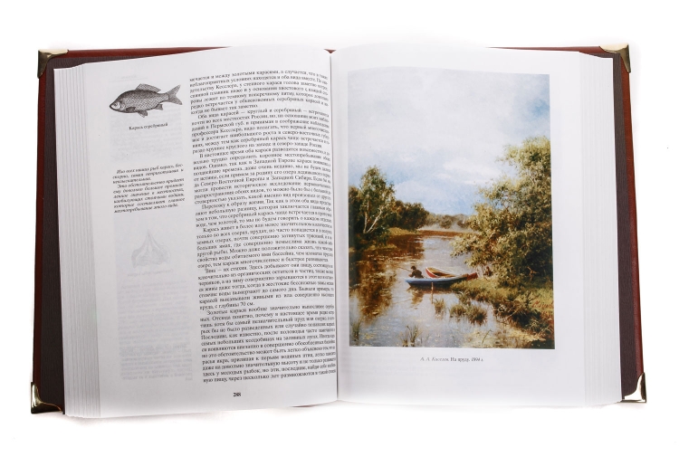 Книга "Жизнь и ловля пресноводных рыб" Л.П. Сабанеев в наборе с бокалами для коньяка "Рыбалка" + нож